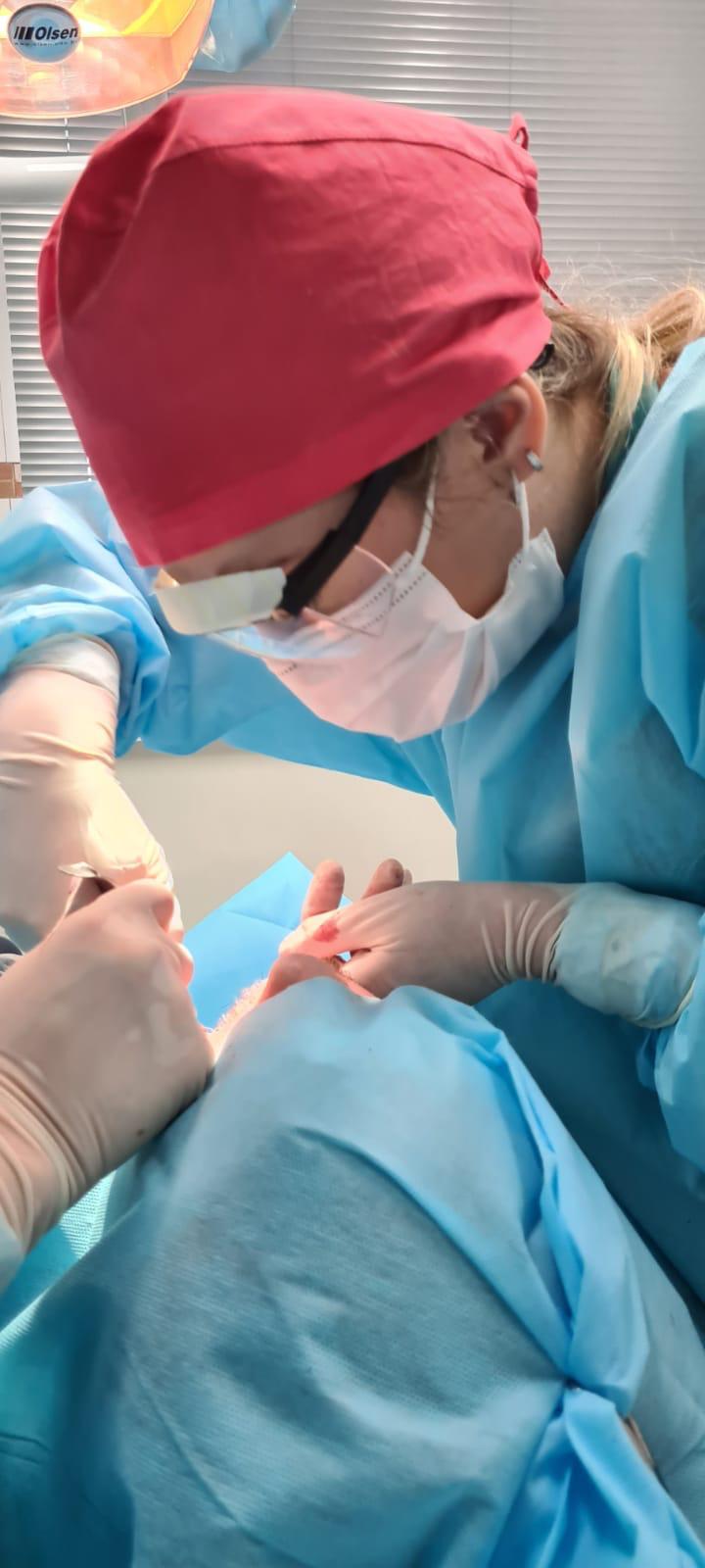 Mentoria VIP Odontologia Dr Yuri Julio Bucomaxilofacial